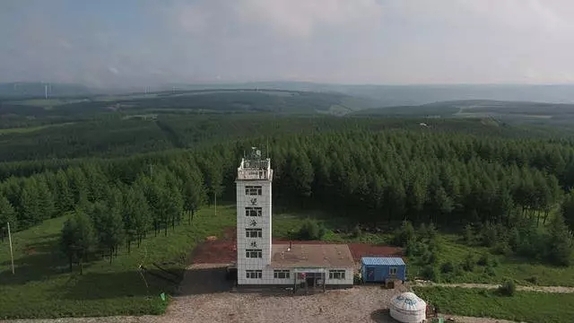 英國小哥到河北塞罕壩避暑，竟意外收獲了一個美麗的故事丨好運中國