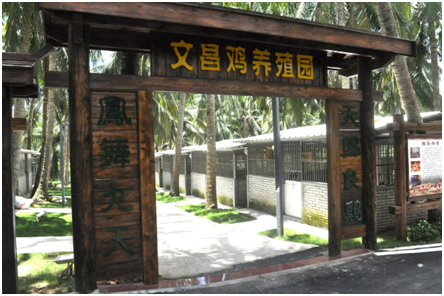 走進(jìn)文昌,講小鎮(zhèn)故事看滄桑巨變