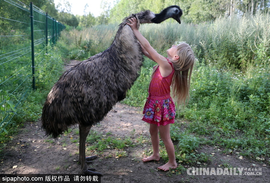 俄羅斯村莊里的“澳大利亞農場” 充滿田園自然風情