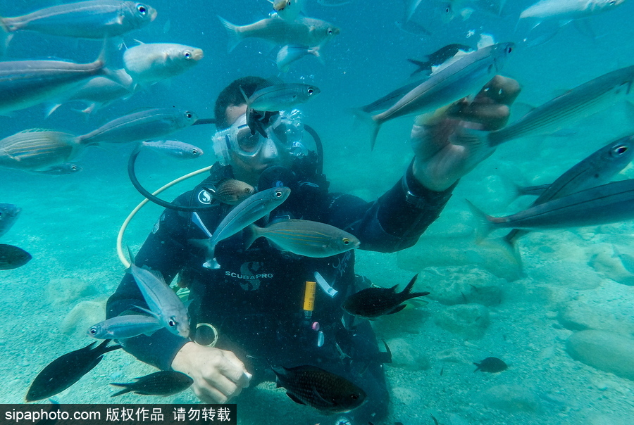 感受地中海水下“神秘世界” 土耳其凱梅爾海邊潛水