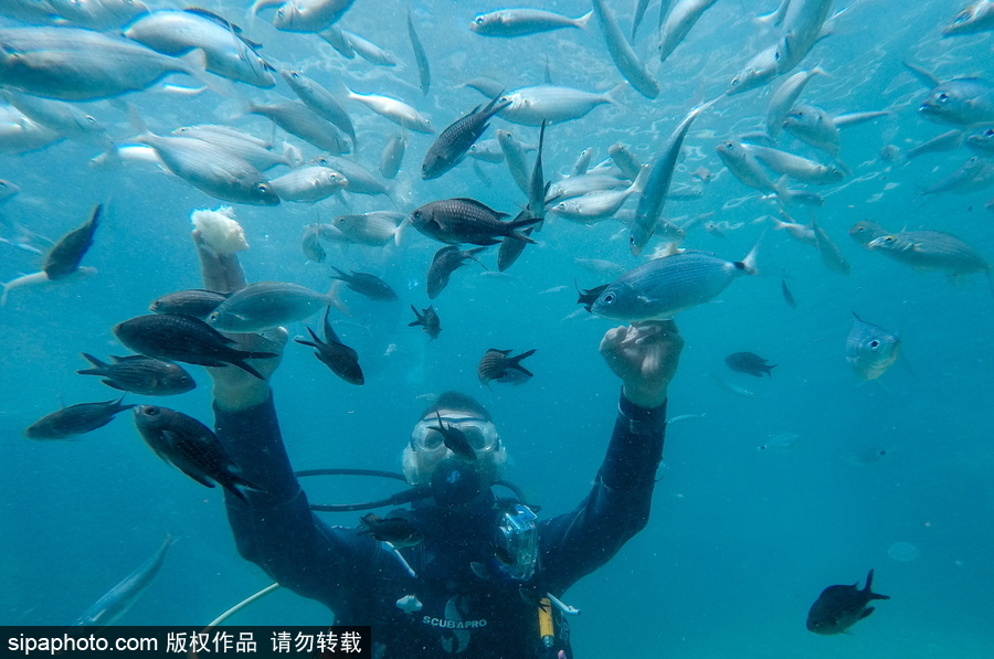 感受地中海水下“神秘世界” 土耳其凱梅爾海邊潛水