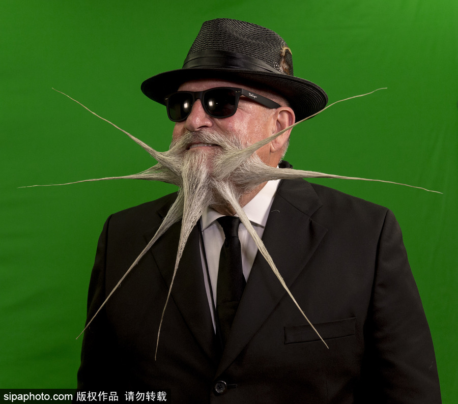 2017年世界留胡子錦標賽：哪款Freestyle你最愛？