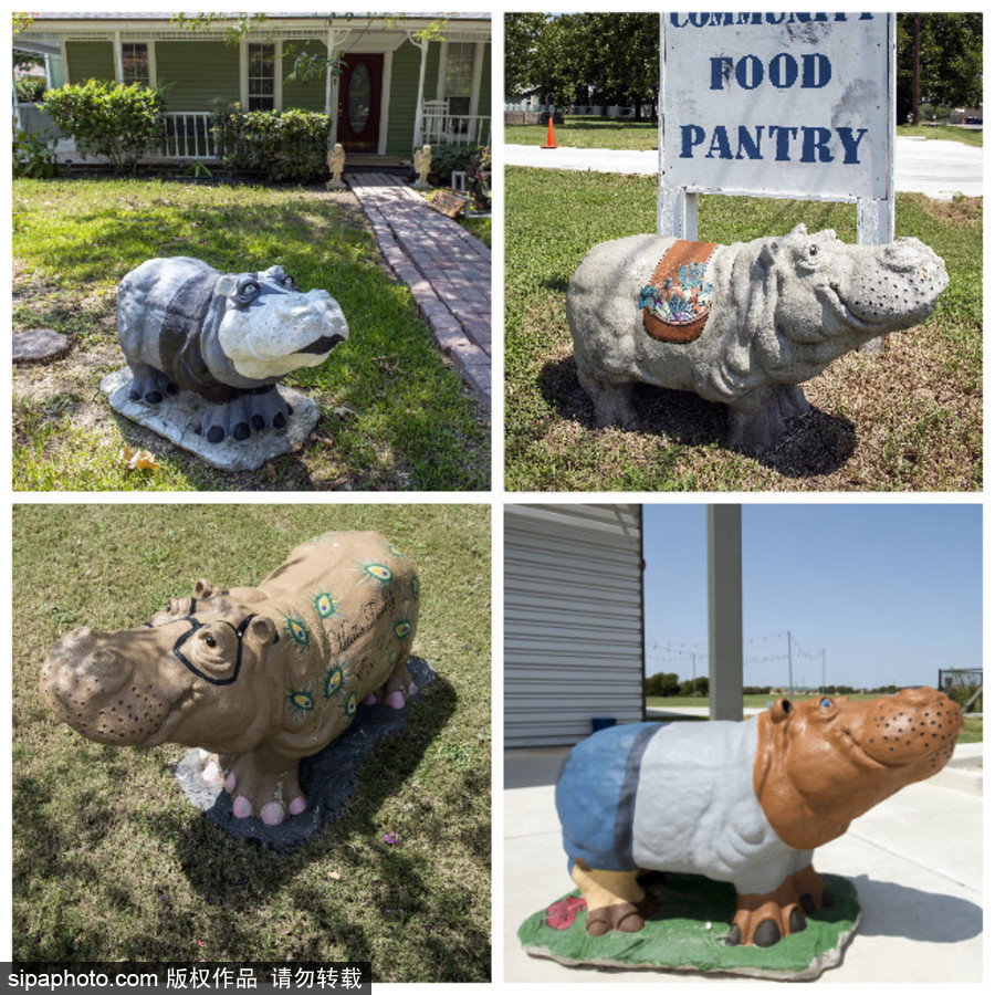 “河馬小鎮”美國胡托 街頭遍布河馬雕塑