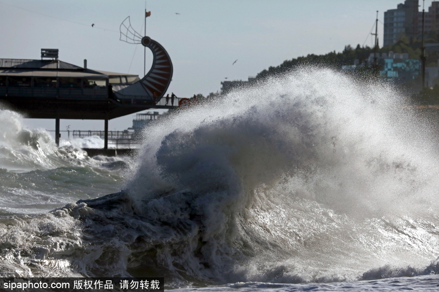 風(fēng)暴襲擊雅爾塔掀起巨浪 民眾淡定圍觀