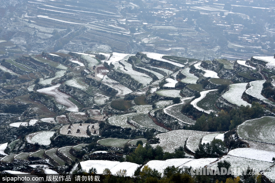 甘肅迎來雨雪天氣 雪落梯田景致宛如水墨畫