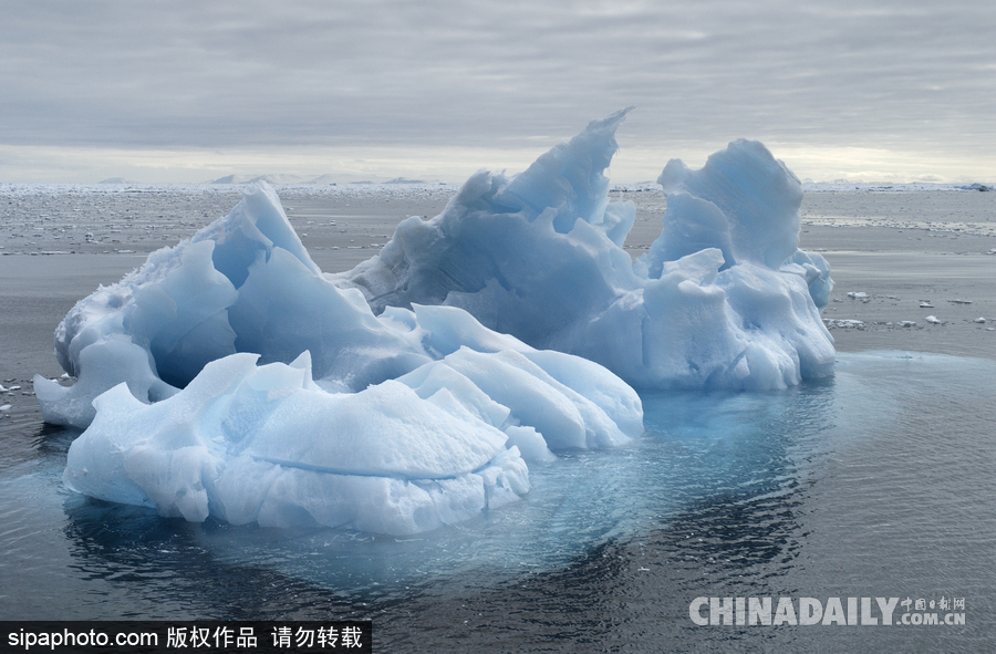 降溫雪韻至 盤點最平凡的冬日美景