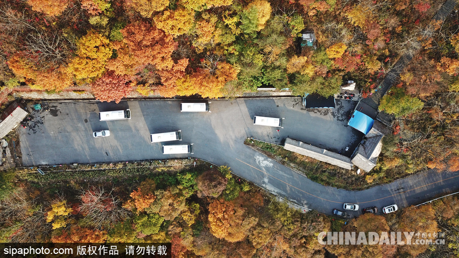 遼寧本溪最美公路 層林盡染令人神往