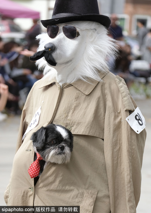 美國洛杉磯萬圣節狗狗大游行開啟 汪星人搞怪變裝逗趣十足