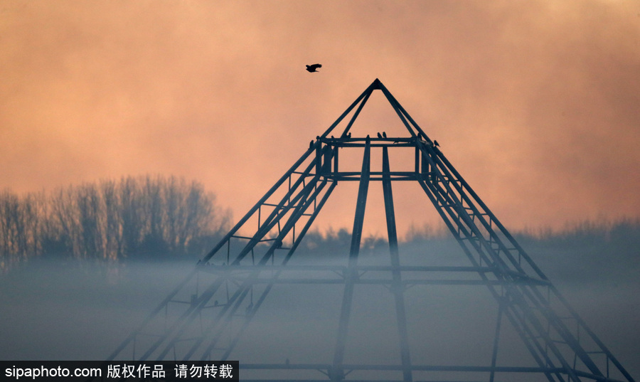 早晨一定要霧蒙蒙的才美 英國格拉斯頓堡晨霧風光