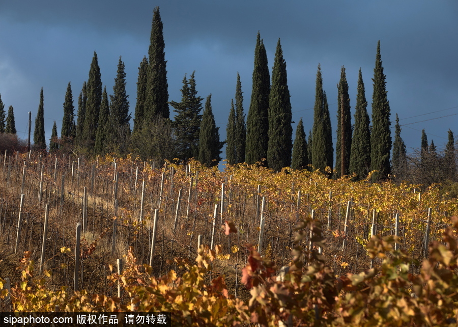 北方的秋天 俄羅斯克里米亞秋光無限