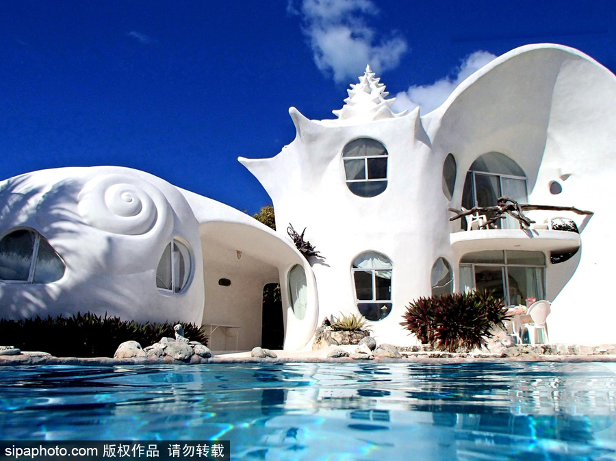 超奢華夢幻“貝殼屋” 獨特設計充滿來自海洋的小清新