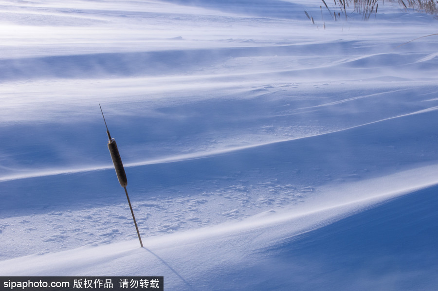 純凈的北方國(guó)度 加拿大冬日風(fēng)光