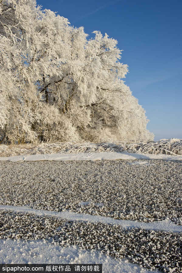 純凈的北方國度 加拿大冬日風光