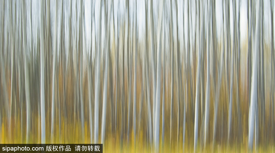 純凈的北方國度 加拿大冬日風光