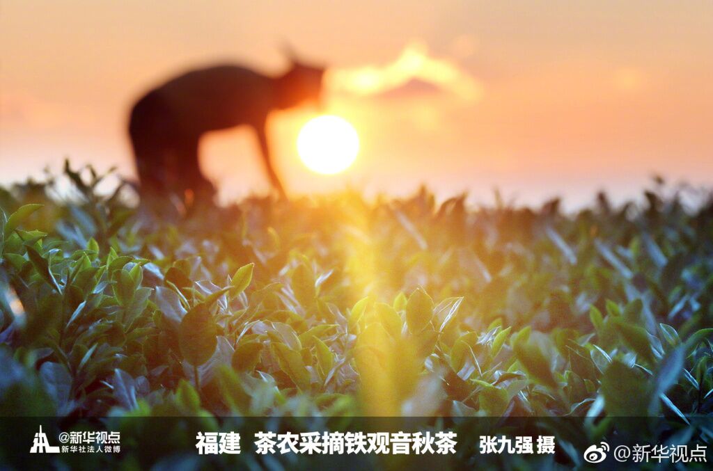 美，源自生活