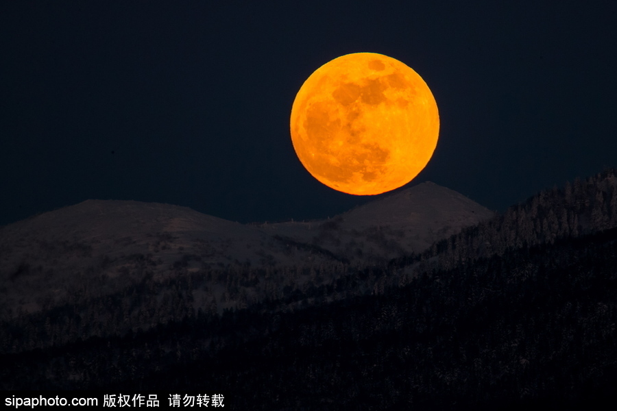 俄羅斯遠東地區(qū)超級月亮現(xiàn)身天宇 明亮壯觀