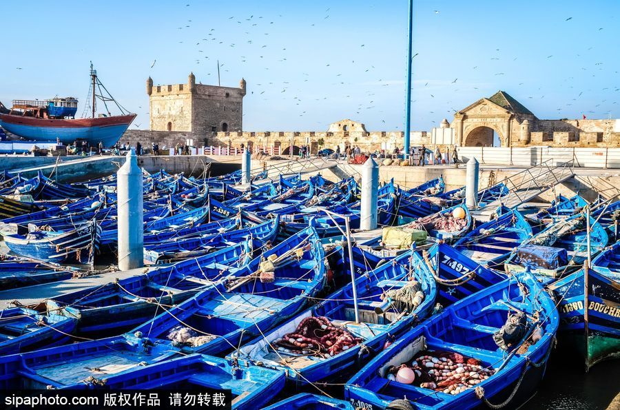 “非洲風城”摩洛哥索維拉風光 色彩清新靚麗