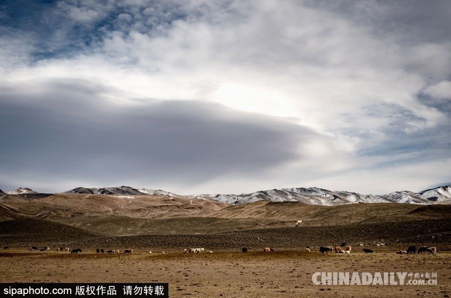 感受美國內華達州冬季風光 人煙稀少一望無垠