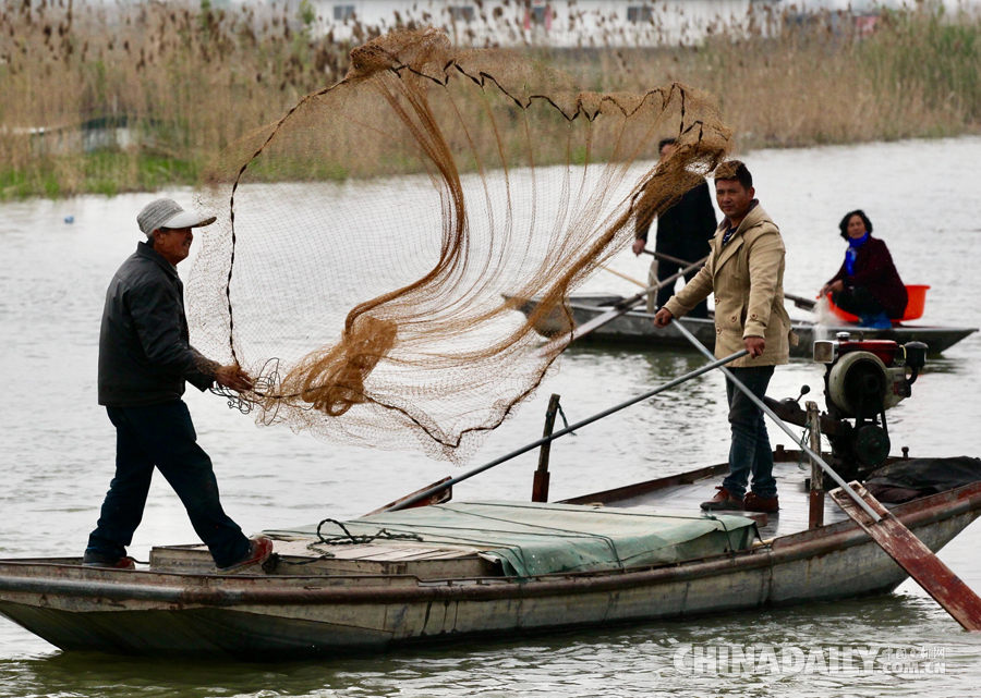 洪澤湖牡丹文化藝術節開幕