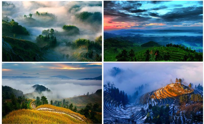 紫鵲界梯田獲“全球重要農業文化遺產”授牌