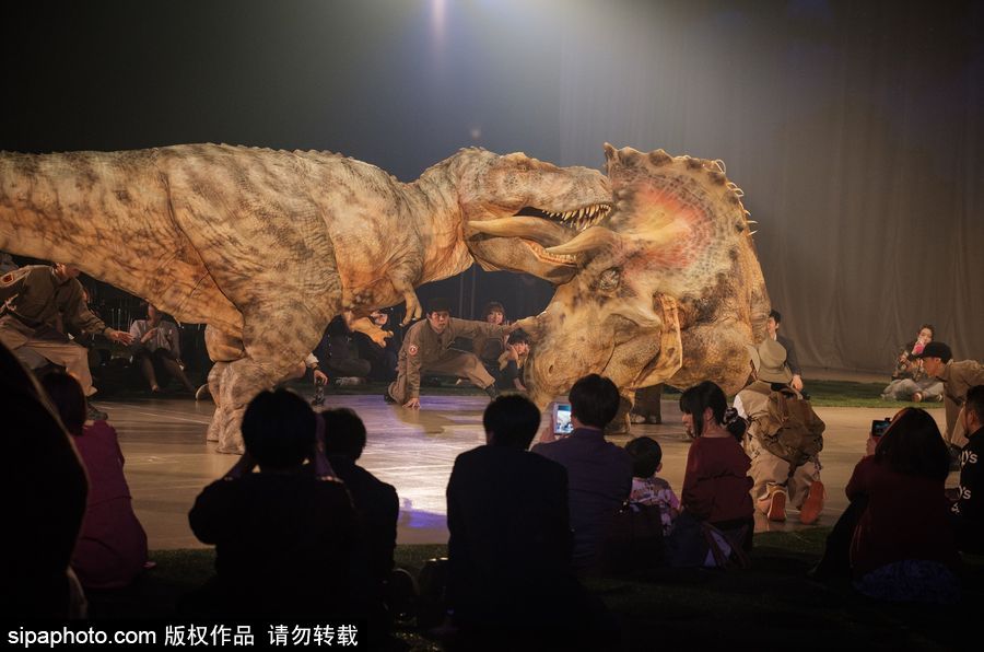 再現侏羅紀風云 日本東京“恐龍”現場表演場景震撼