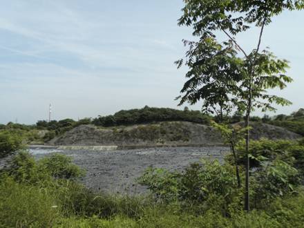 【美麗中國長江行】青山綠水還于民：探訪長壽區可持續綠色發展新道路