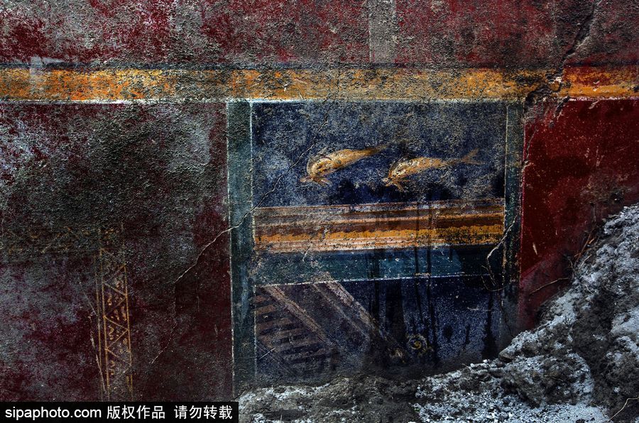 意大利考古隊發(fā)現(xiàn)龐貝古城建筑群“海豚之屋” 罕見保持完好