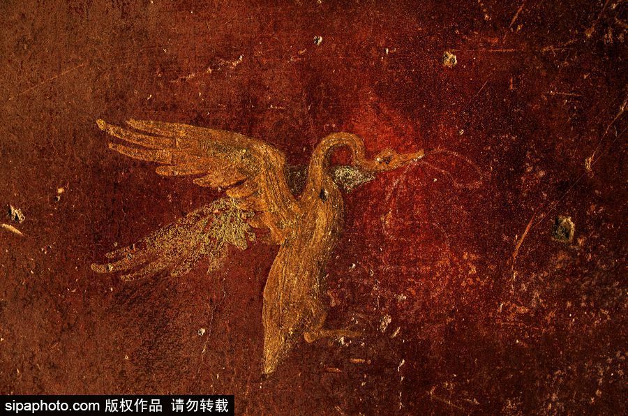 意大利考古隊(duì)發(fā)現(xiàn)龐貝古城建筑群“海豚之屋” 罕見(jiàn)保持完好