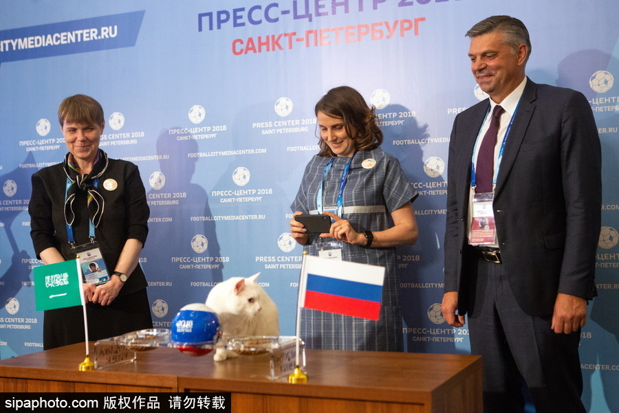 明星待遇！俄羅斯神貓預測2018世界杯揭幕戰勝者