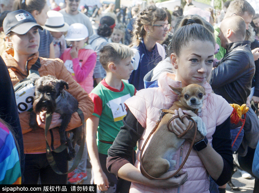 烏克蘭基輔舉行狗狗慈善跑 現場賣萌大比拼