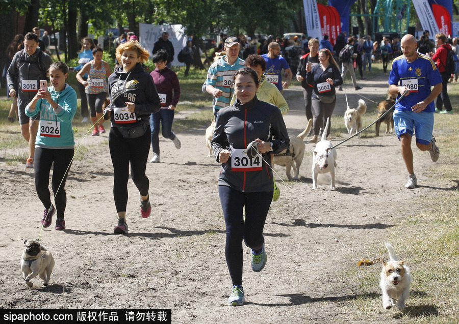 烏克蘭基輔舉行狗狗慈善跑 現場賣萌大比拼