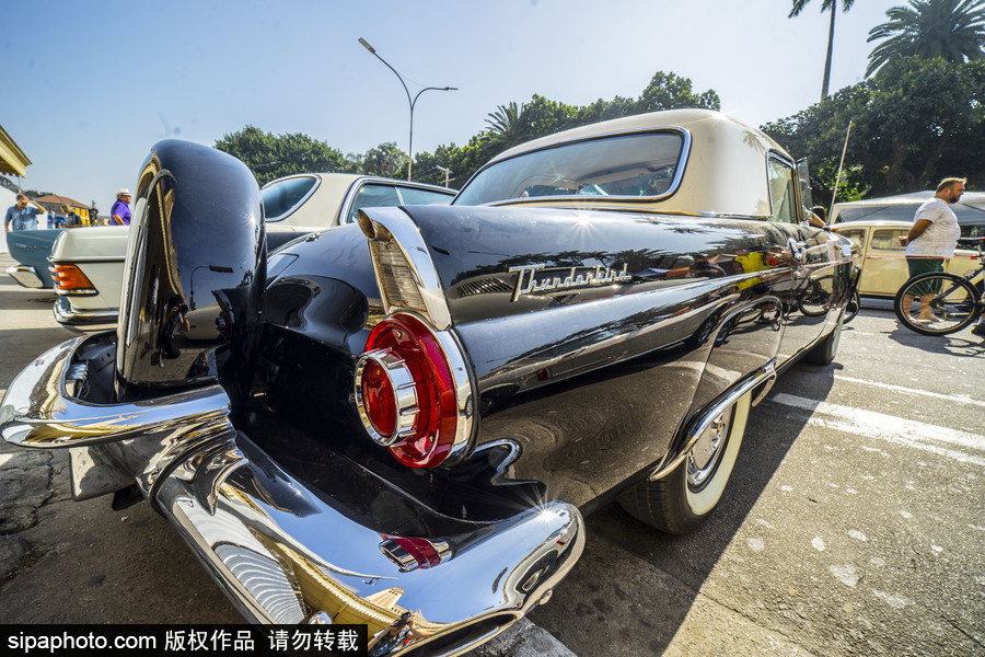 閃閃發光的復古時尚 巴西圣保羅舉行老爺車大“集會”