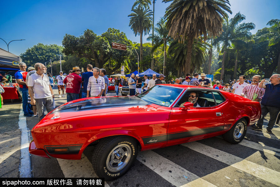 閃閃發光的復古時尚 巴西圣保羅舉行老爺車大“集會”