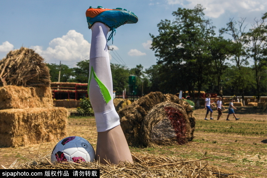 腦洞太奇特了！俄羅斯一農場現國家隊門將左腳雕塑