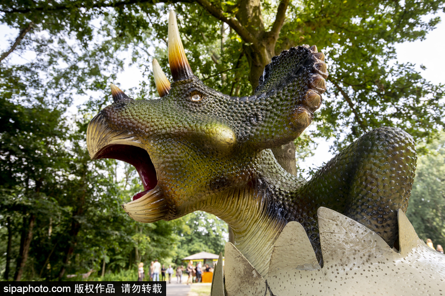 “侏羅紀王國”展覽首次亮相荷蘭 形象逼真似穿越回恐龍時代