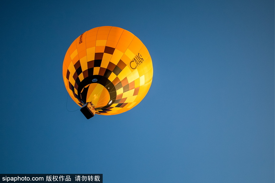 田野上放飛的彩色希望！俄羅斯下諾夫哥羅德舉辦熱氣球節