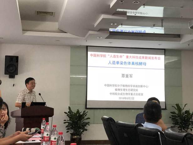 國際首例人造單染色體真核細(xì)胞創(chuàng)建成功 中國實(shí)現(xiàn)合成生物學(xué)里程碑式突破