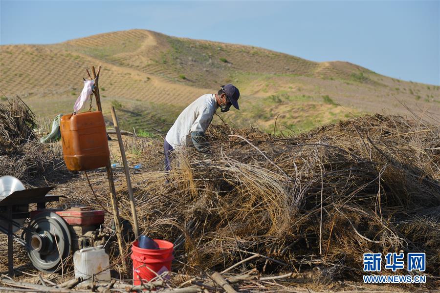 庫布其首條穿沙公路 矗立在大漠的無形豐碑