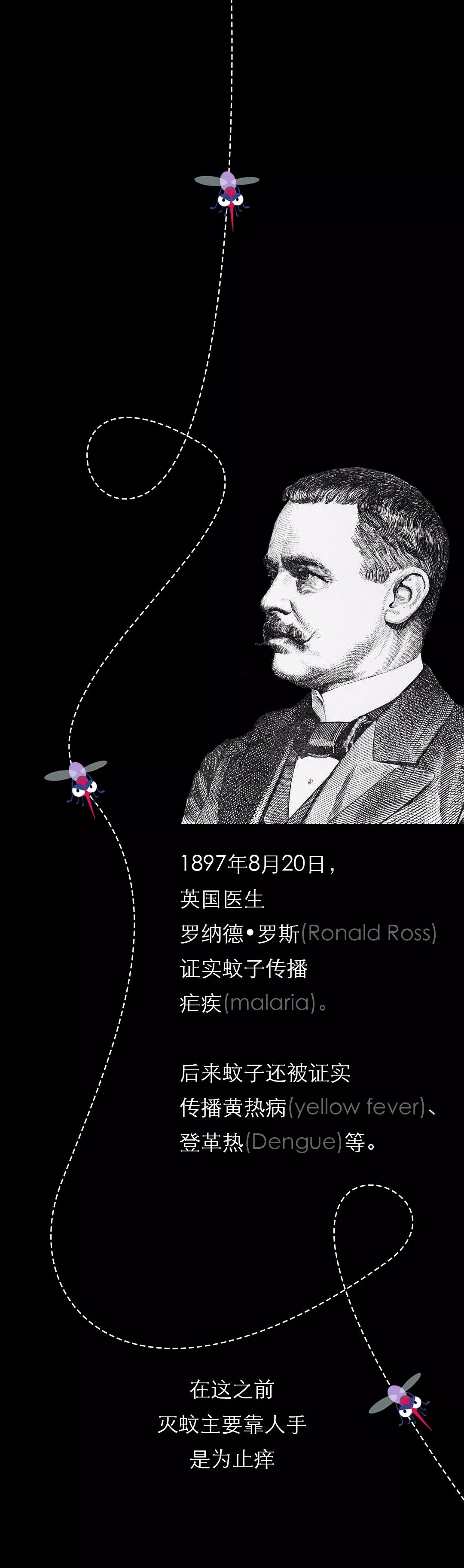 不開玩笑！今天是世！界！蚊！子！日！丨圖圖是道