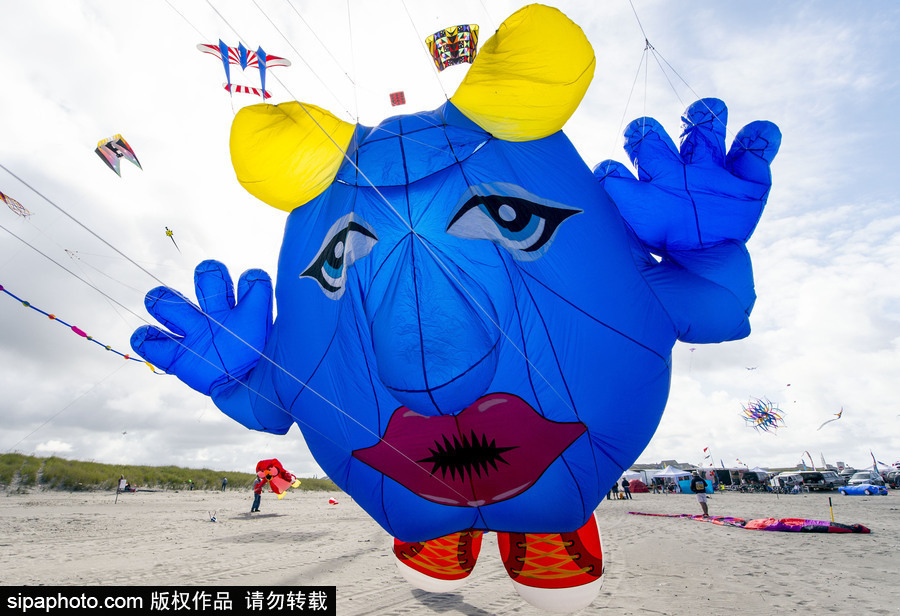 造型夸張可愛場面壯觀 美國華盛頓州國際風(fēng)箏節(jié)如約而至