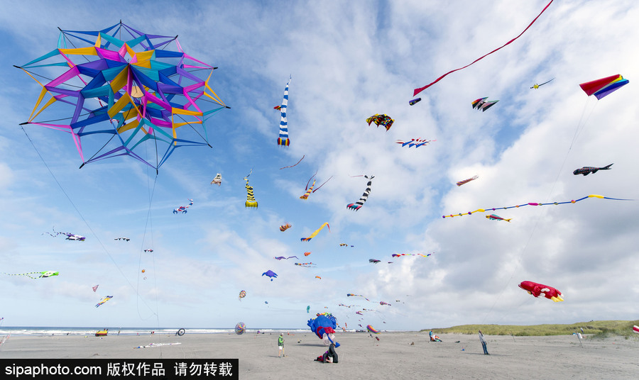 造型夸張可愛場面壯觀 美國華盛頓州國際風箏節(jié)如約而至