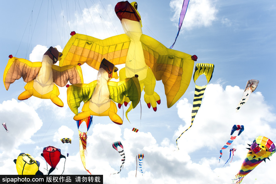 造型夸張可愛場面壯觀 美國華盛頓州國際風(fēng)箏節(jié)如約而至