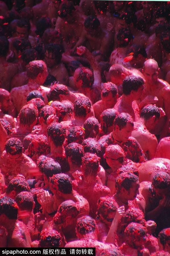 “血色”浪漫！直擊西班牙番茄節(jié)現(xiàn)場(chǎng) 互擲番茄毫不手軟