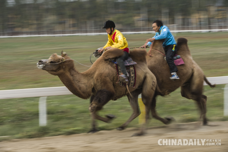 新疆第九屆少數民族運動會各項賽事全面展開