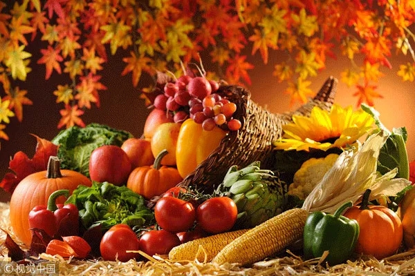 秋天好干燥，怎么吃才好？這份養生攻略請收好