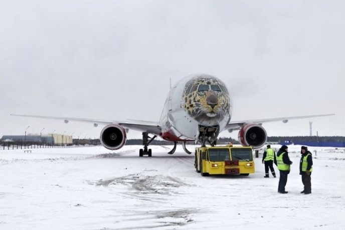 俄推出“阿穆爾豹”彩繪涂裝飛機(jī)