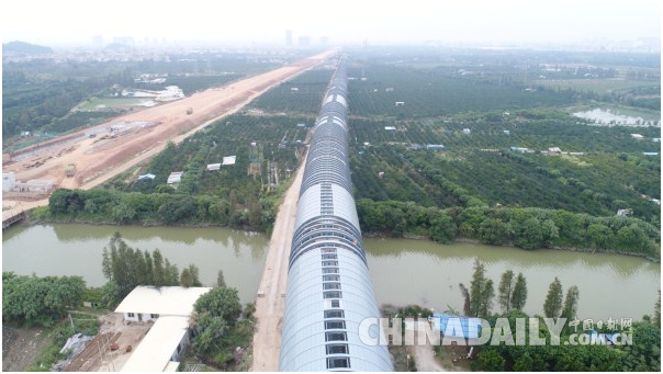 高鐵建全封閉屏障 護“小鳥天堂”歲月靜好