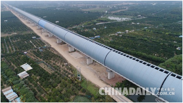 高鐵建全封閉屏障 護“小鳥天堂”歲月靜好