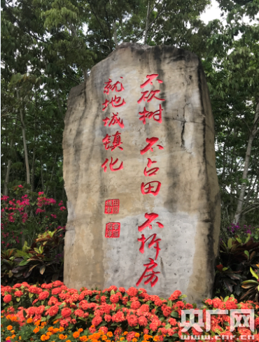 潮起海之南：特區海南，海南特色