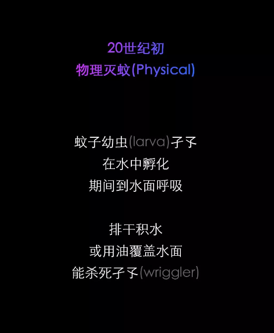 不開玩笑！今天是世！界！蚊！子！日！丨圖圖是道